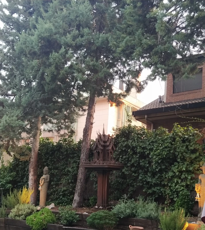 Marianne Duriez : trois nouveaux poèmes