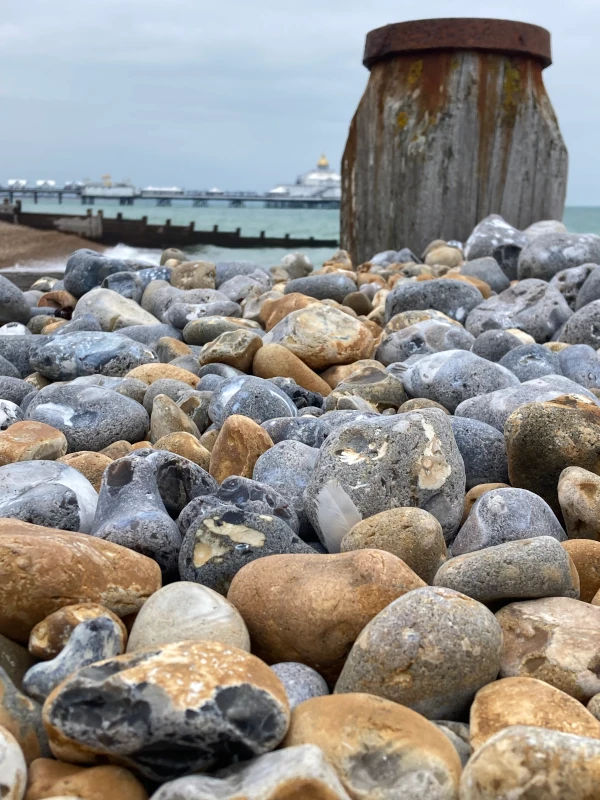 Natacha Ruedin-Royon : deux poèmes