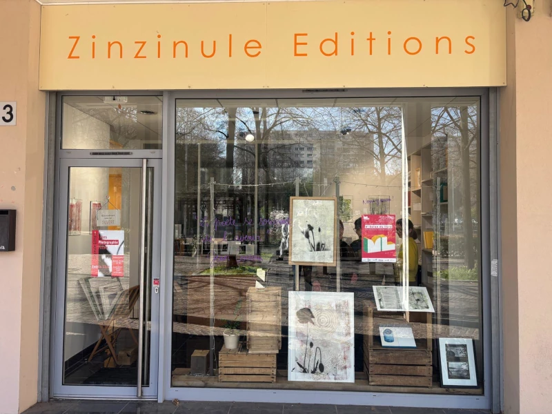 Zinzinule éditions